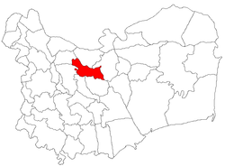 Location of Frecăţei