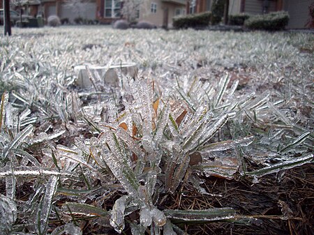 Tập_tin:Freezing_grass.jpg