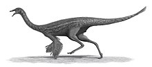 File:Gallimimus_Steveoc86.jpg