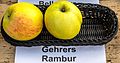 Gehrers Rambur jm55187.jpg