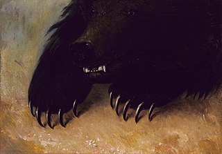 Weapons and Physiognomy of the Grizzly Bear