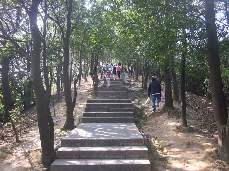 File:Greenway of Mount Yangtai2.jpg