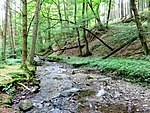 Naturschutzgebiet Bachtal Saure Epscheid