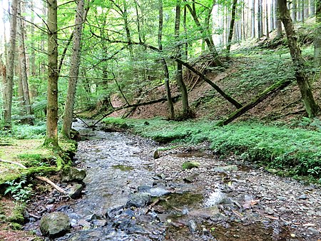 Hagen NSG Bachtal Saure Epscheid