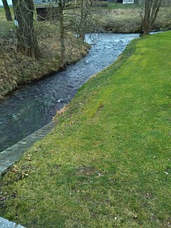 The Haselbach flows into the Pulsnitz