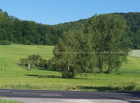 Hattengehau Quelle