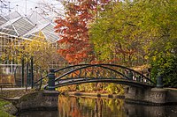 1. East entrance bridge to the Hortus Botanicus in Amsterdam Fotograf: Frederik Balhuizen