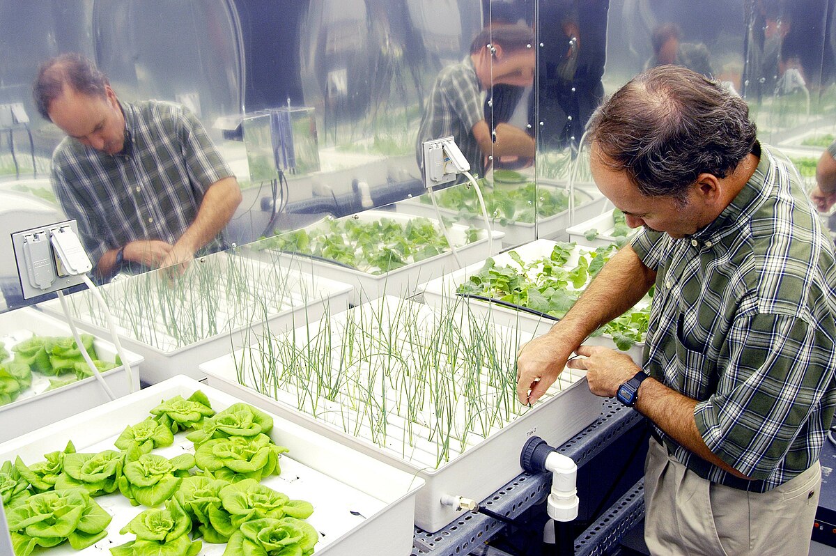 Uncovering the Truth: Organic vs Synthetic Nutrients in Hydroponics
