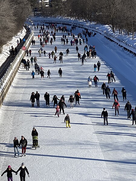 File:Ice Skating - Rideau Canal - Ottawa.jpg