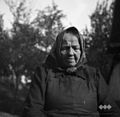Ilovška mati, doma iz Metnaja ("Špaja") 76 let stara 1950.jpg