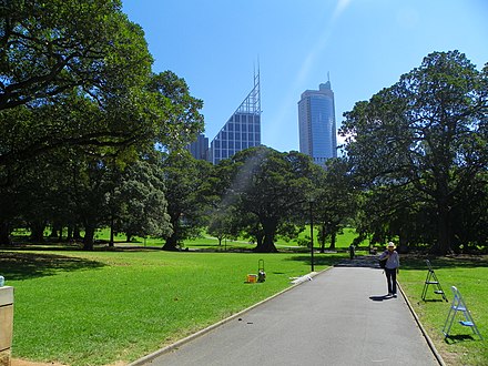 Walk through the Royal Botanic Gardens