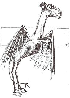 رسم تخيلي للكائن كما ظهر عام 1909 في فيلادلفيا بوست