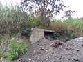 位于射马干圳新进水口旁已废弃的旧进水口，其已遭从新进水口导水路所挖掘出的淤泥所掩埋。