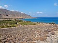 * Nomination Bay of Zakros, Crete --Oltau 21:57, 3 April 2017 (UTC) * Decline  Oppose Nice view and I'd have been glad to support, if there wasn't massive lack of detail (visible on water, grass, and trees). --A.Savin 16:19, 4 April 2017 (UTC)