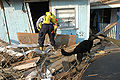 Search and rescue team examine damaged house, Biloxi, Mississippi