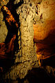 Kong Lor Caves of Laos (5422117500).jpg