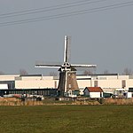 Krommeniedijk - Molen De Woudaap.jpg