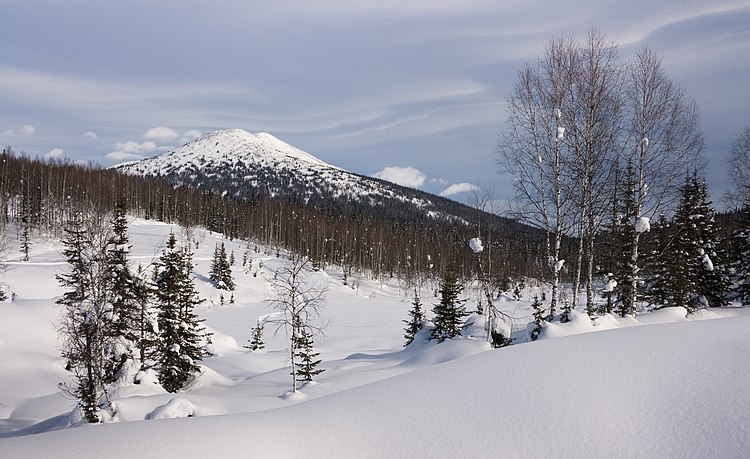 Зимний пейзаж Кузнецкого Алатау в Западной Сибири