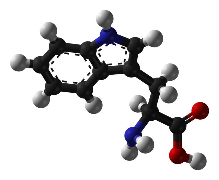 File:L-tryptophan-3D-balls.png