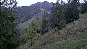 Latschenkopf from the west