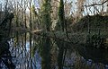 * Nomination View of the Canal de la Tortue, Plaine de la Poterne, in Lille, France --Velvet 08:44, 12 January 2022 (UTC) * Promotion  Comment Purple CAs on the branches. --Sebring12Hrs 22:27, 19 January 2022 (UTC)  Done New version uploaded. Thank you for your review --Velvet 12:08, 22 January 2022 (UTC)  Support It's really better now. It remains CAs at left on the top in the branches, but it's good quality overall for me. --Sebring12Hrs 12:17, 22 January 2022 (UTC)