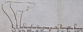 Listina Václava IV. 1395.JPG