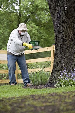 Man applying fertilizer wearing a face mask to protect against airborne chemicals.