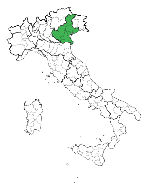 File:Map Region of Veneto.svg