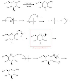 Fischer glycosidation