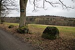 Menhir von Rauischholzhausen (001).jpg