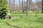 Mgn-Friedhof-alt.jpg