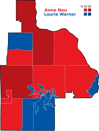 <span class="mw-page-title-main">2017 Minnesota House of Representatives District 32B special election</span>