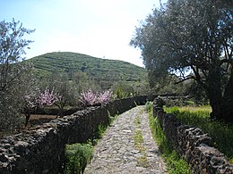 Monte Mojo, Mojo Alcantara, Sicilia. - panoramio.jpg