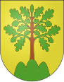 Monthey - Coat of arms.svg