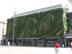 Pflanzenwand an der Markthalle von Avignon, 2005