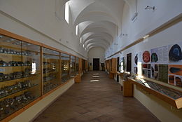 Musée minéralogique de Campanie 001.JPG