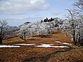 2009年3月13日 (金) 14:12時点における版のサムネイル