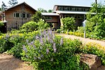 North Carolina Botanical Garden