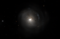 Arp 215 (NGC 2782)