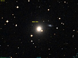 NGC 2924 DSS.jpg
