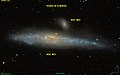 NGC 4631 SDSS.jpg