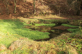 Schnaittach (Pegnitz) River in Germany