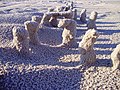 Natural sand sculptures IIIDueodde beach Island Bornholm, Denmark