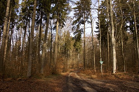 Naturschutzgebiet Albtrauf Baar