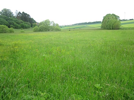 Naturschutzgebiet Bremer Bachaue