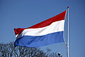Nederlandse-vlag-DSC 0112.jpg
