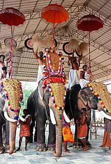 Neendoor Subrahmanya Swami Temple-Festival Neendoor Subrahmanya Swami Temple666.jpg