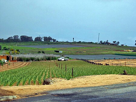 Neerabup farms