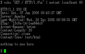 Скриншот программы netcat (NetCat)