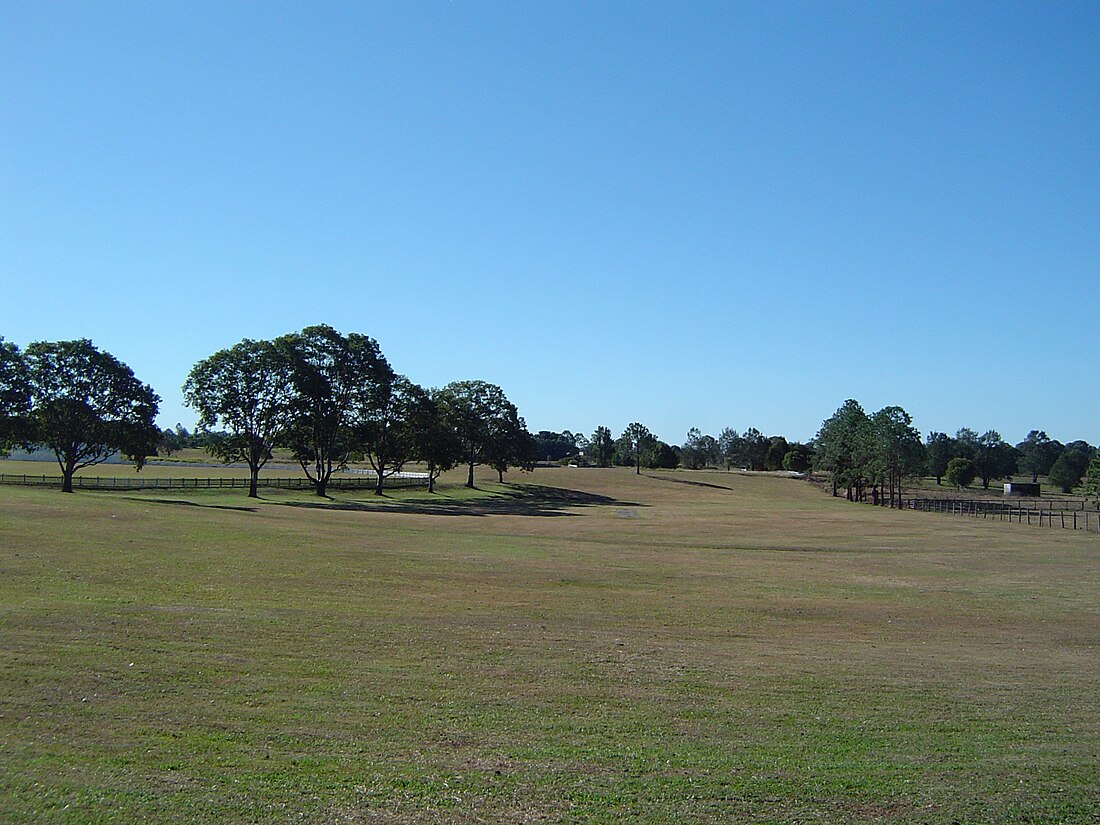 Buccan, Queensland